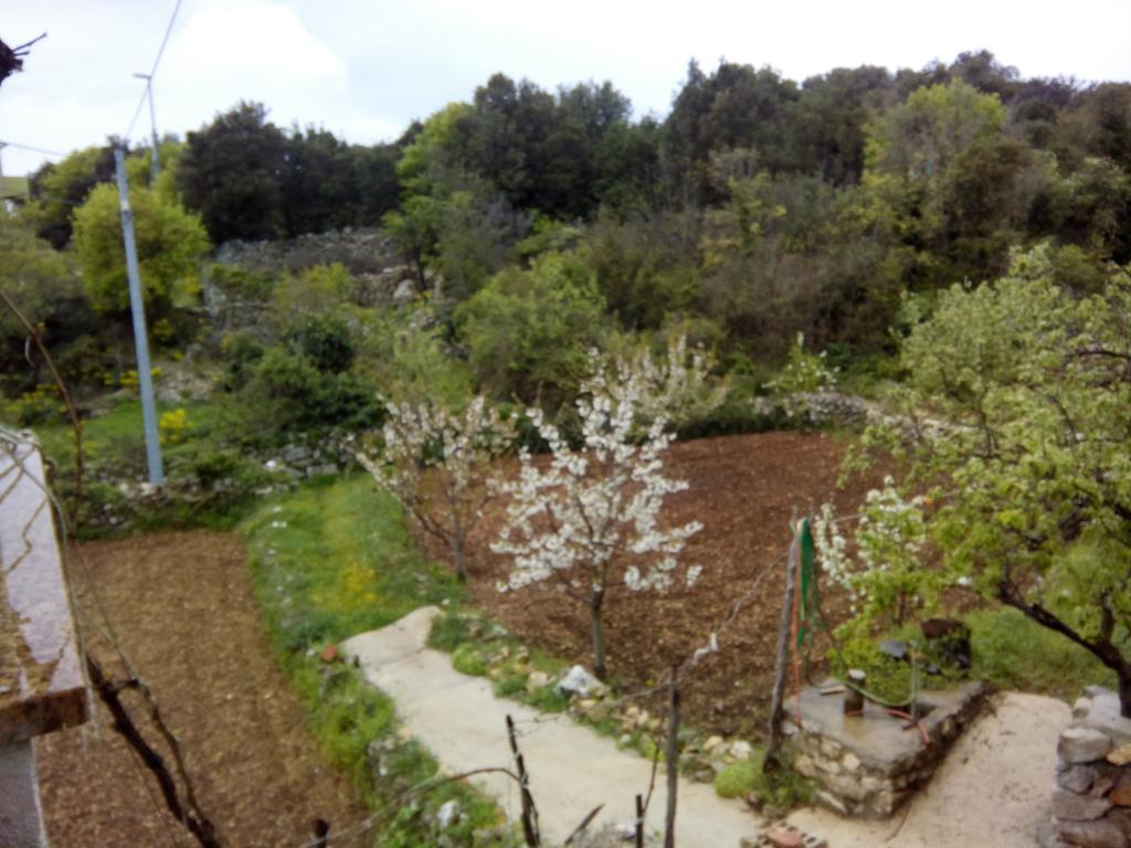 Holiday Home Loznati Црес Экстерьер фото