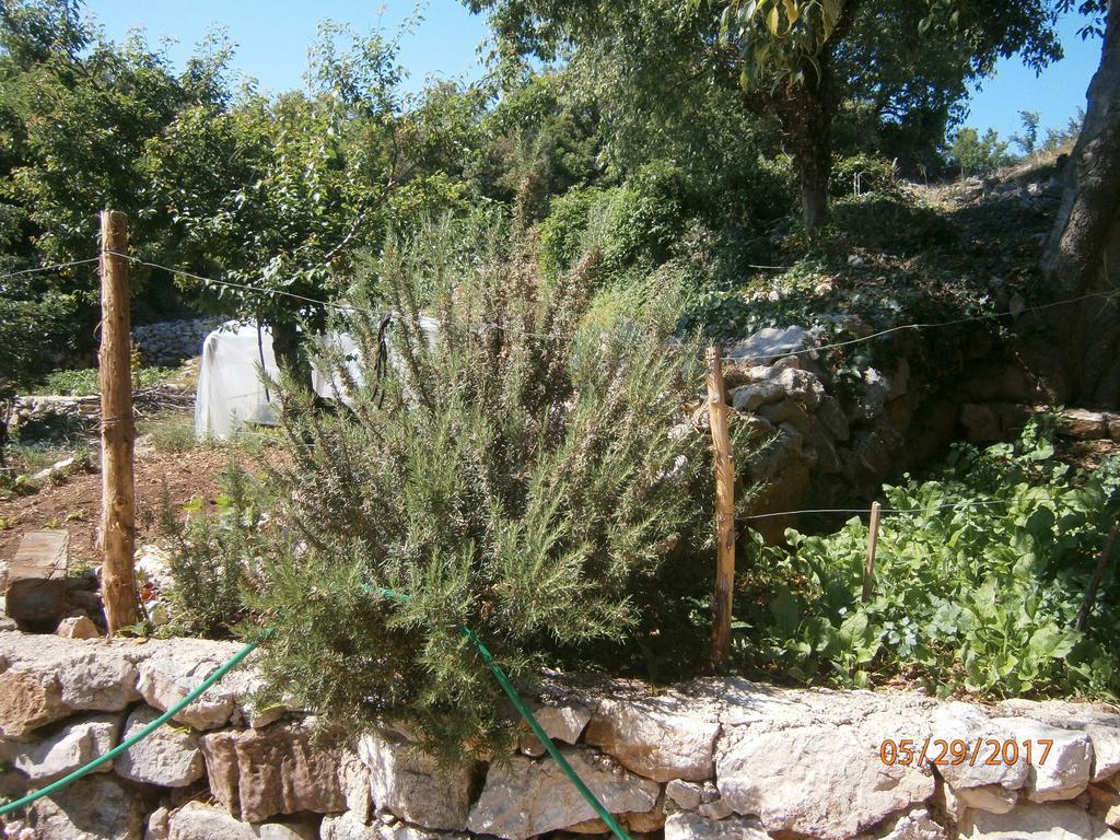 Holiday Home Loznati Црес Экстерьер фото