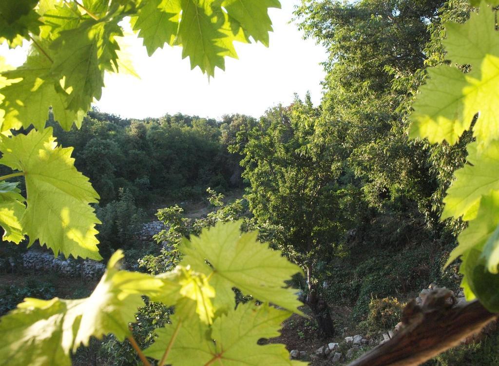 Holiday Home Loznati Црес Экстерьер фото