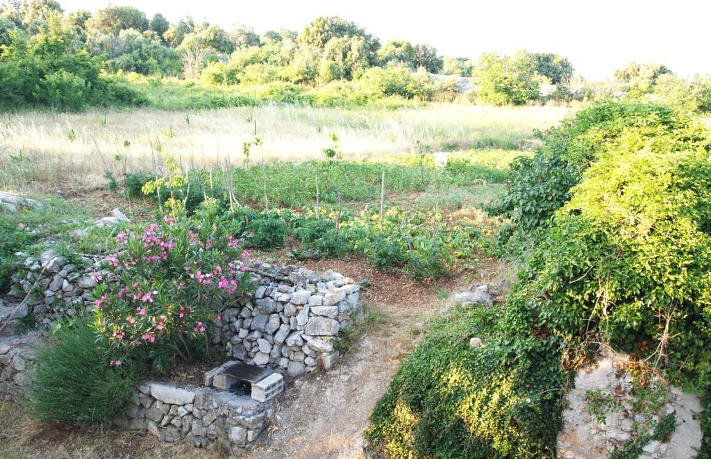 Holiday Home Loznati Црес Экстерьер фото
